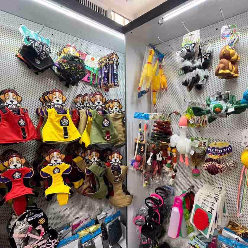 eram-petshop_1