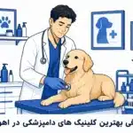 مقایسه پژو ۲۰۷ سقف شیشهای با تارا اتوماتیک؛ کدام را بخریم؟ معرفی بهترین کلینیک های دامپزشکی در اهواز