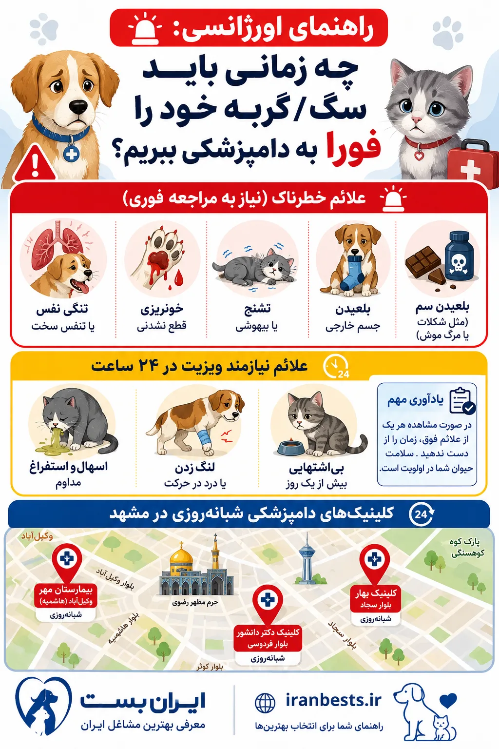 اینفوگرافیک علائم اورژانسی حیوانات خانگی و بهترین دامپزشکی مشهد