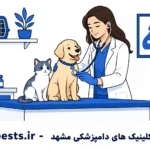 مزدا EZ۶۰ ؛ یک شاسی بلند اصیل ژاپنی یا یک «چانگان» با لوگوی مزدا؟!