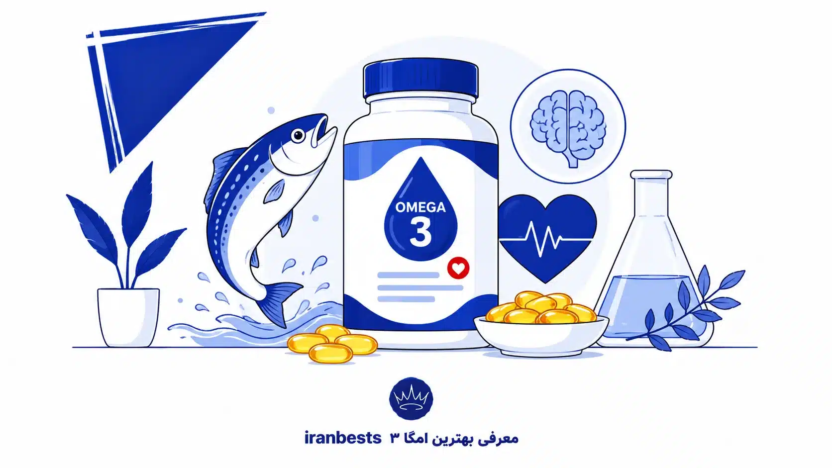 معرفی بهترین امگا ۳