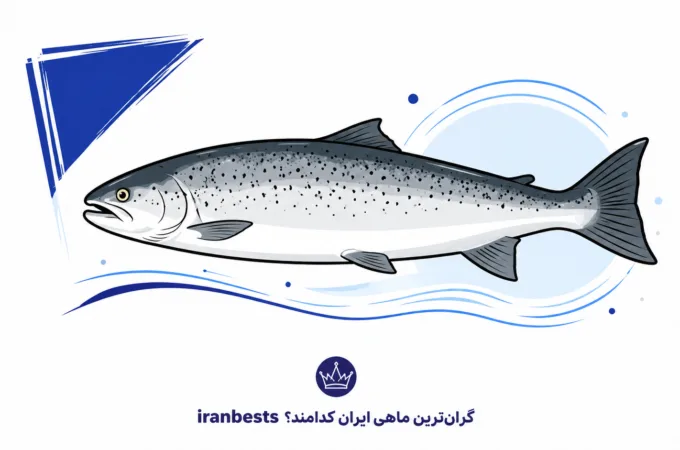 گرانترین ماهیهای ایران کدامند؟ (لیست ماهی های لوکس شمال و جنوب) گرانترین ماهیهای ایران کدامند؟