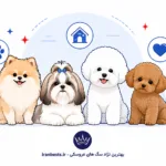 بهترین نژاد سگ های عروسکی