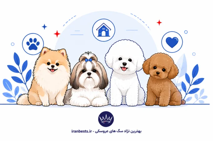 بهترین نژاد سگ های عروسکی برای آپارتمان (راهنمای خرید ۱۴۰۵) بهترین نژاد سگ های عروسکی