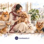 تیگو ۷ پلاگین هیبرید (e پلاس) بخریم یا نه؟ بررسی کامل ارزش خرید بهترین نژاد سگ های عروسکی برای آپارتمان