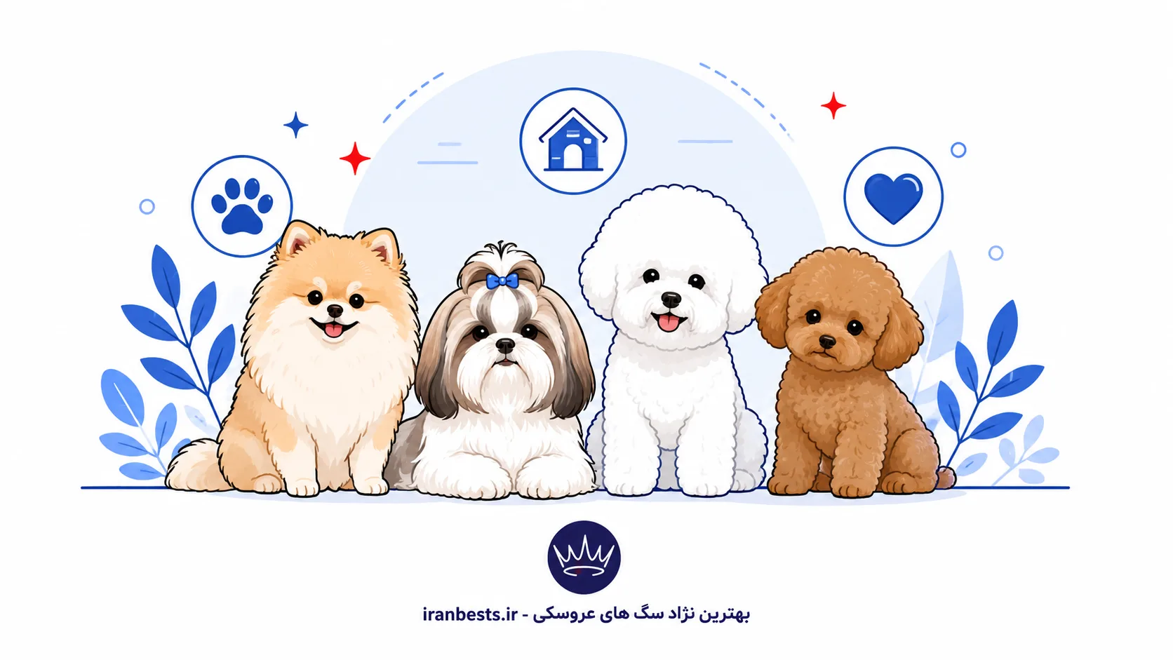 بهترین نژاد سگ های عروسکی